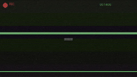 深夜食堂纪实 - 探花系列